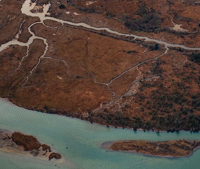 Wetlands where the Squamish River turns into the estuary and meets the Howe Sound fjord