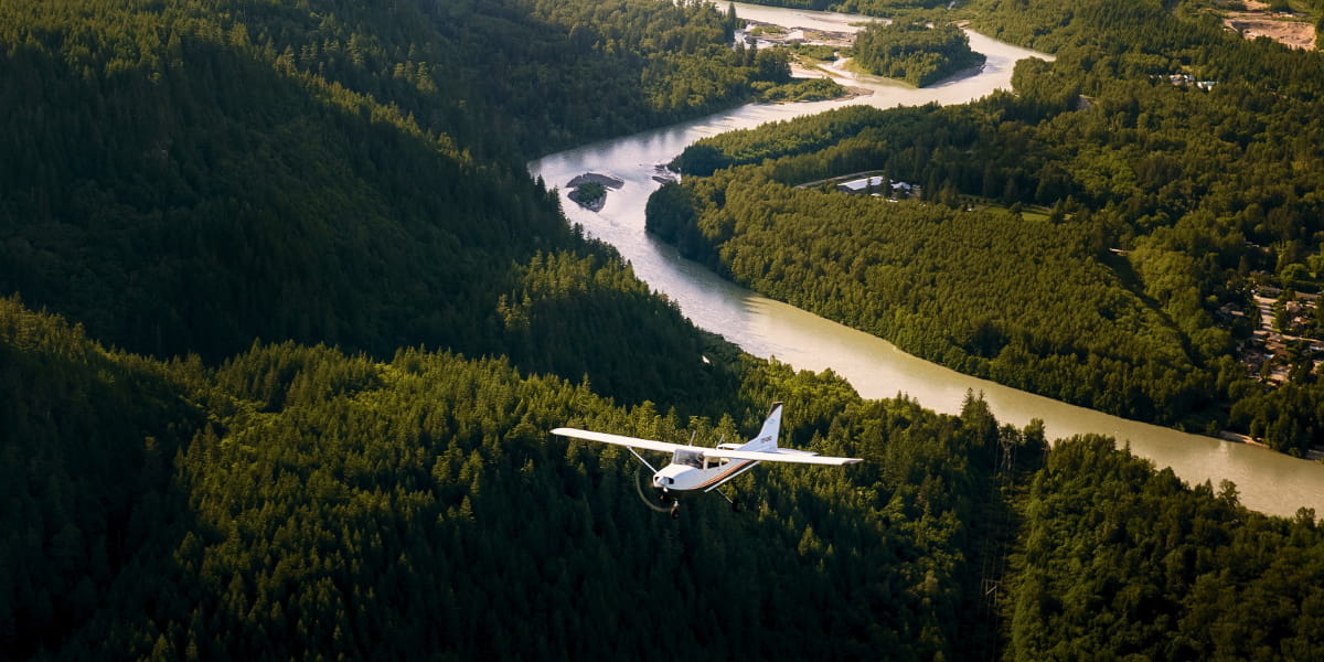 Shades of Spring A Colourful Flight